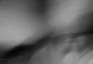 profile image of undefined